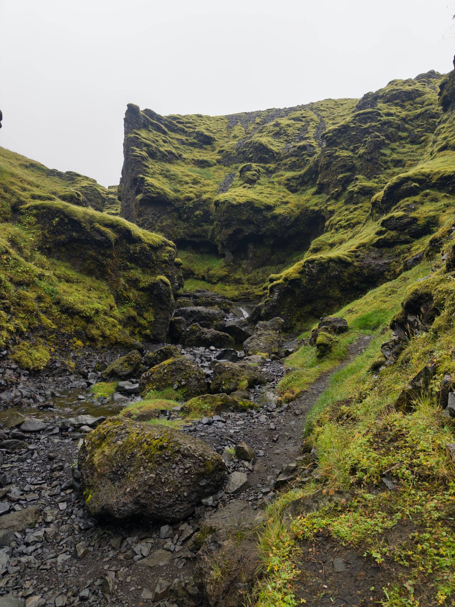 Gallery photo: iceland gorge