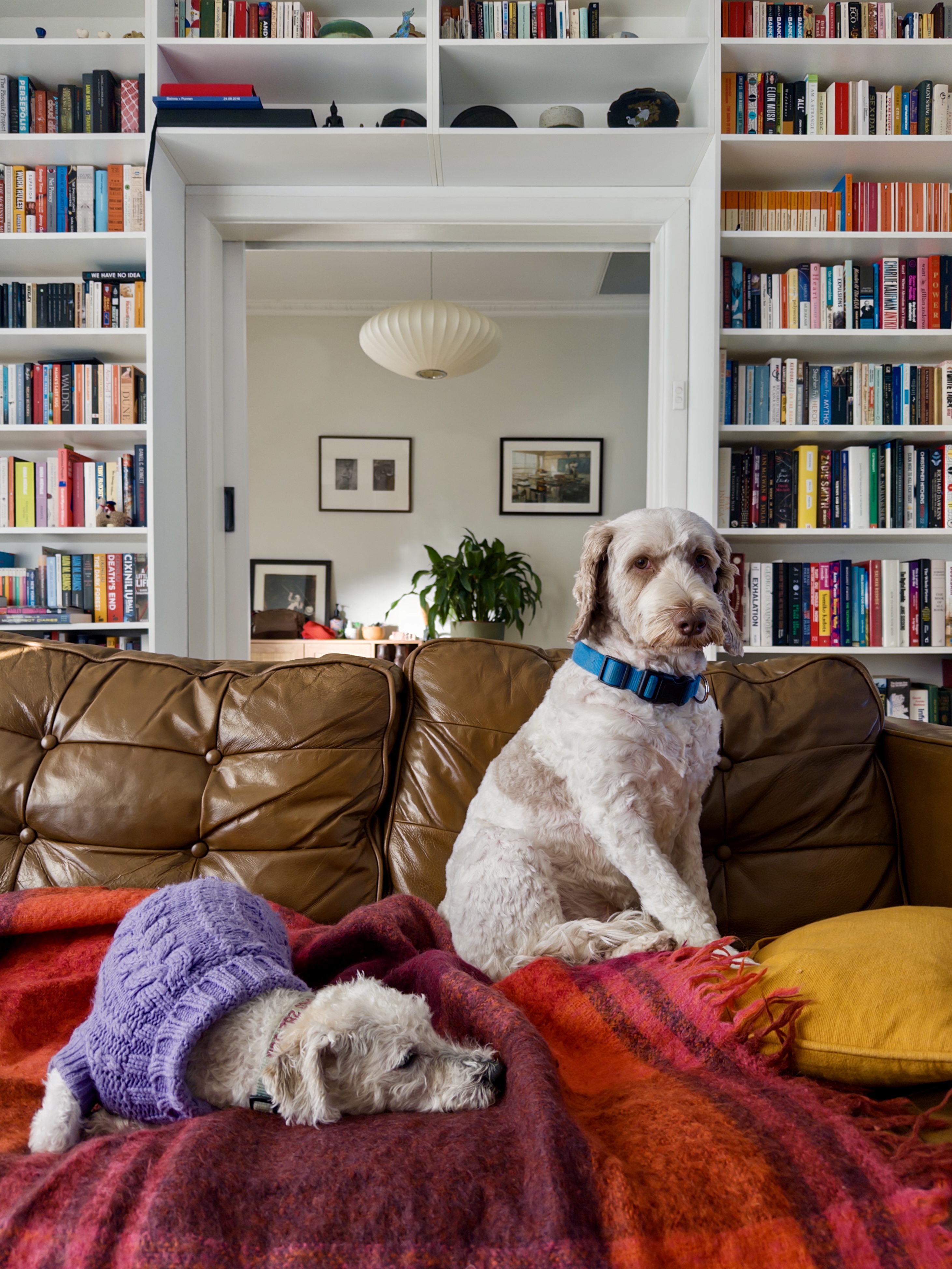 Gallery photo: IDG 20250709 084550 442