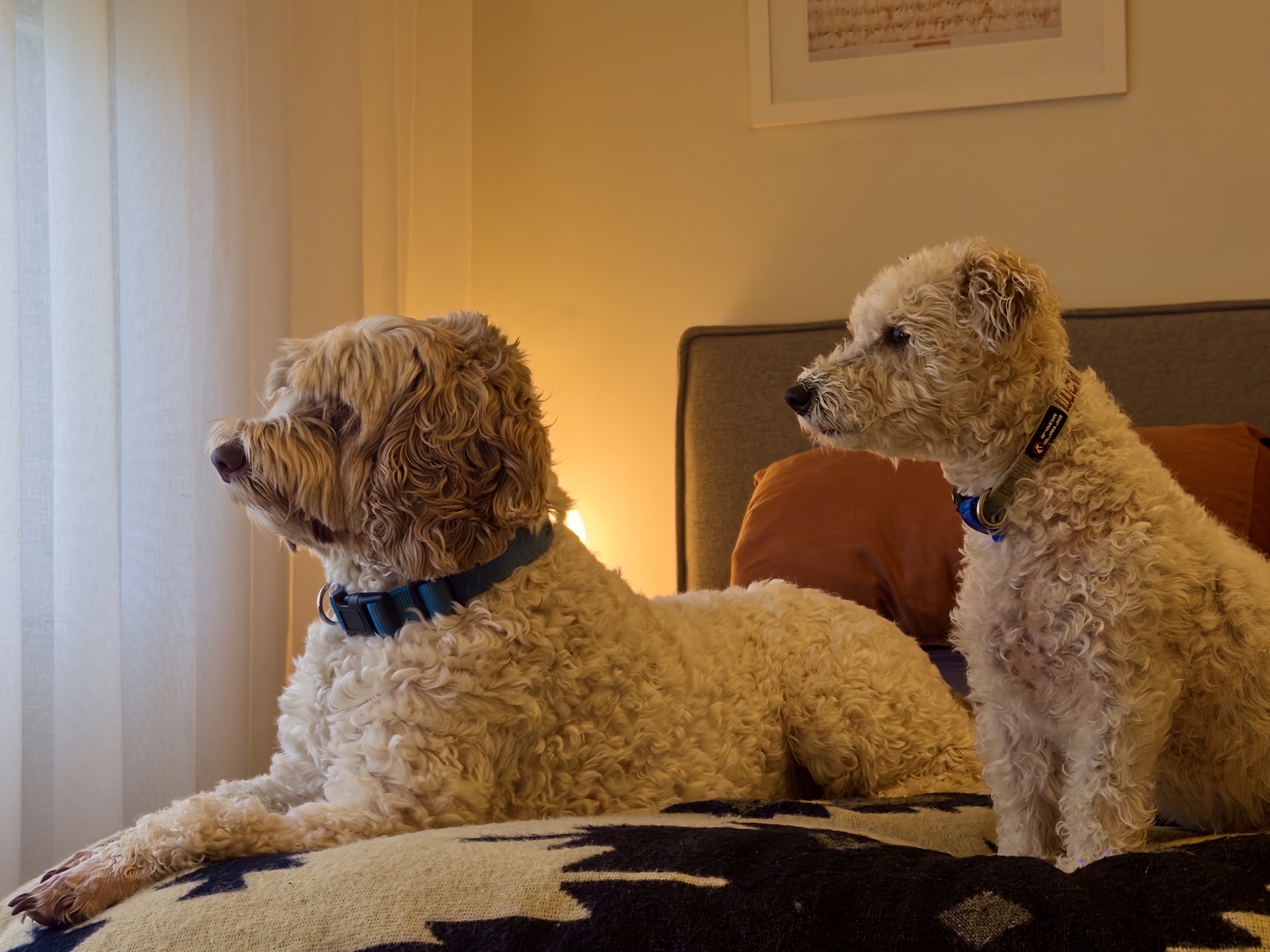 Gallery photo: IDG 20251119 195033 835