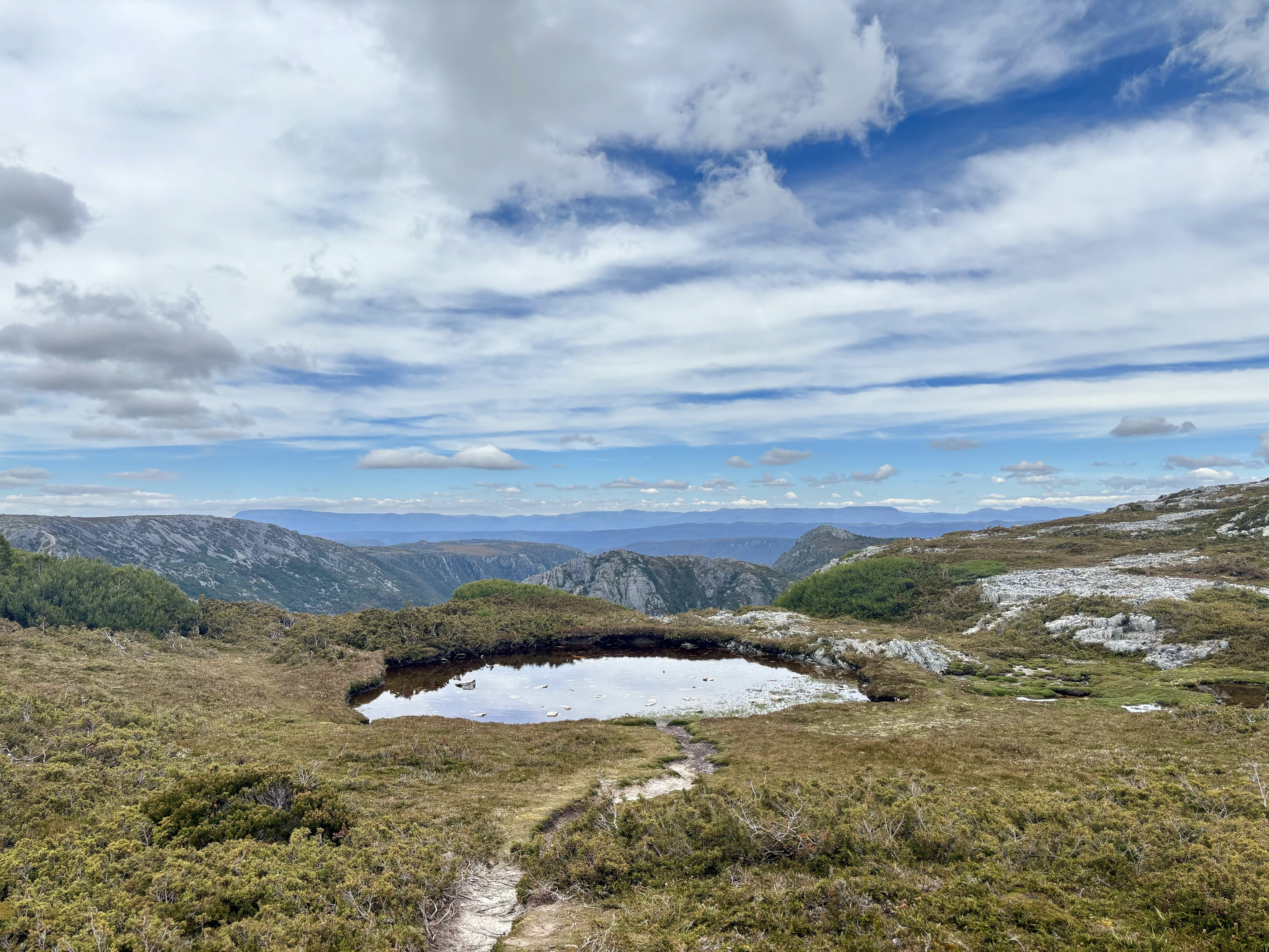 Gallery photo: IMG 3695