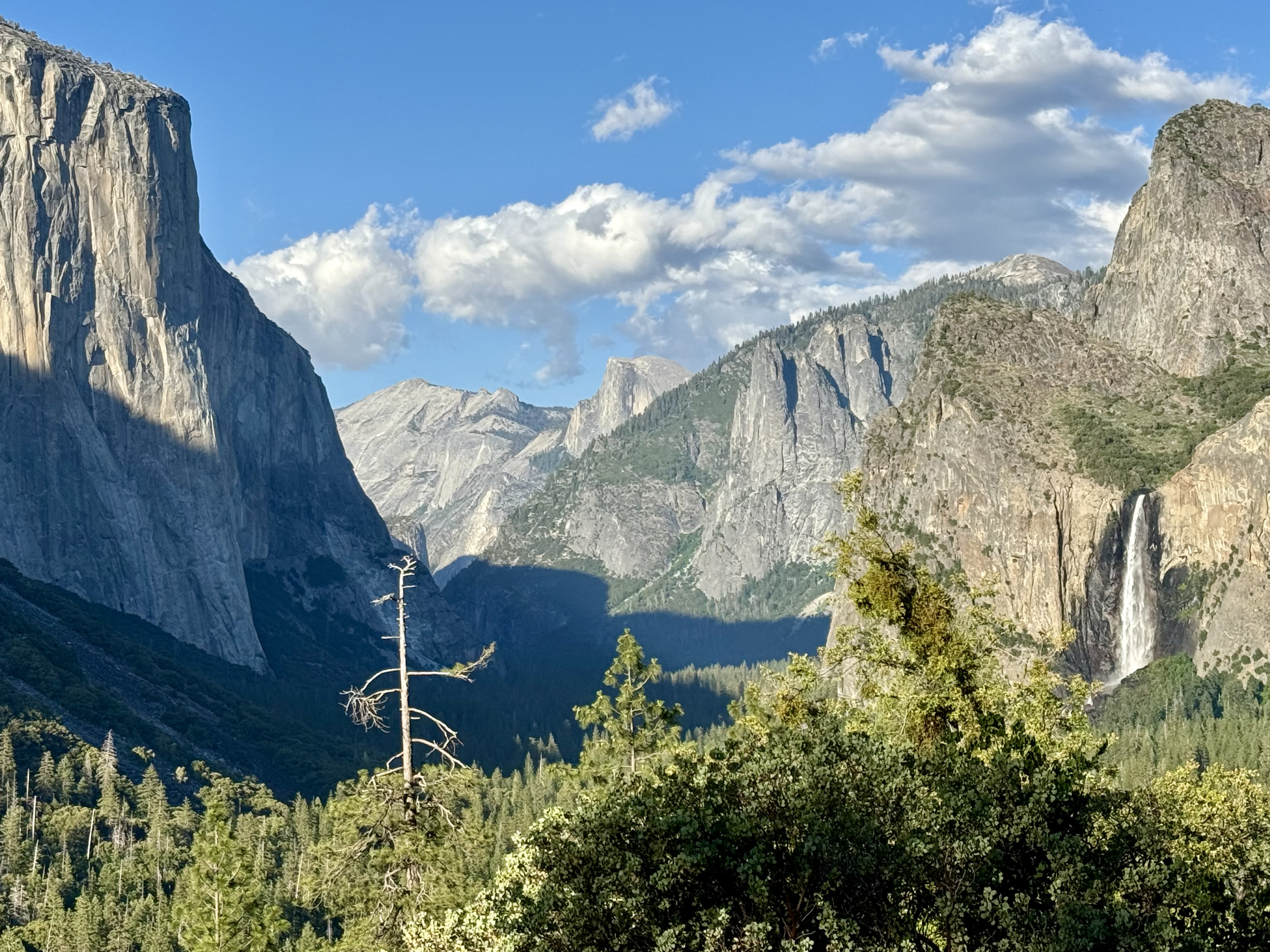 Gallery photo: IMG 6692