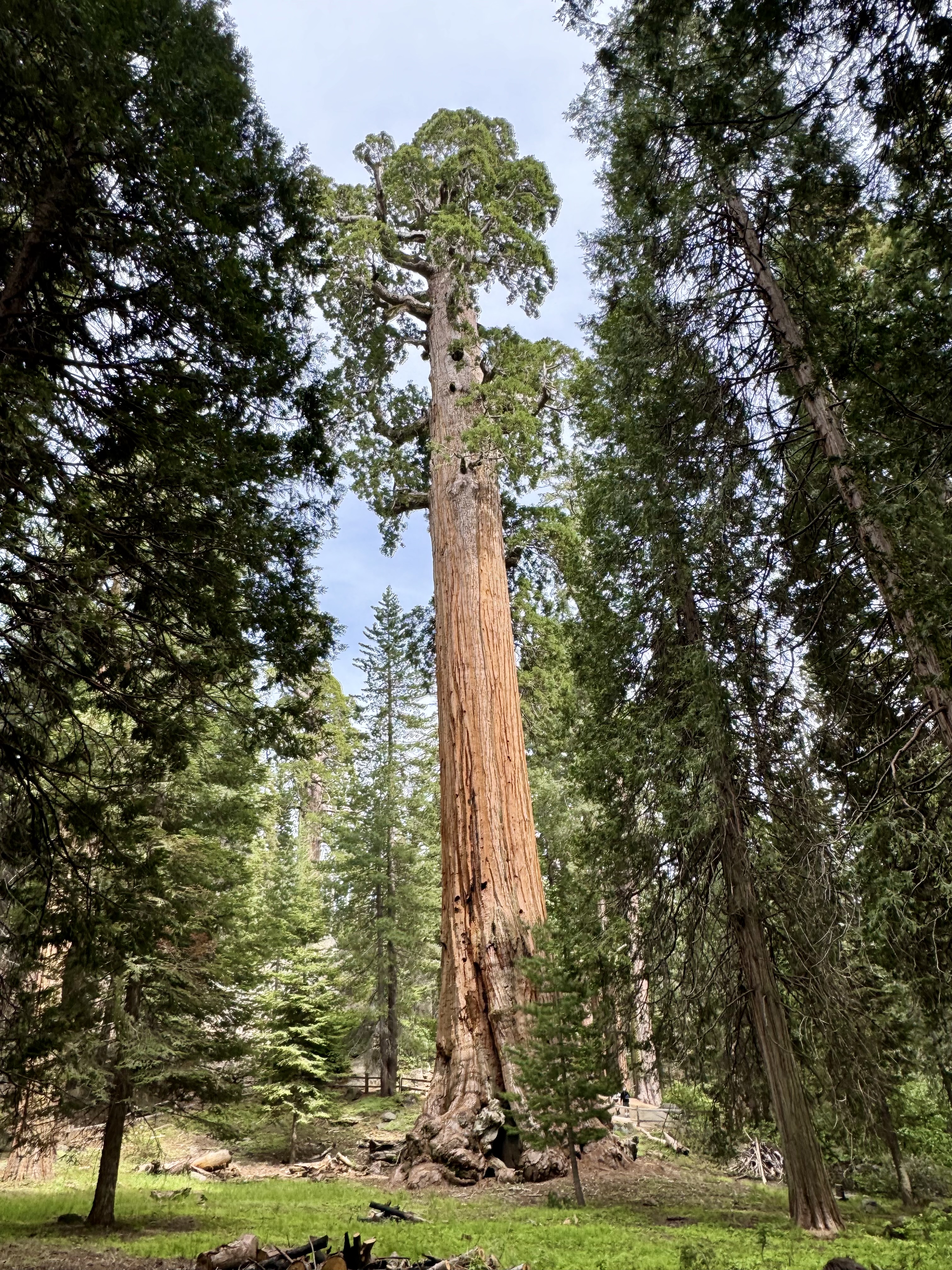 Gallery photo: IMG 6743